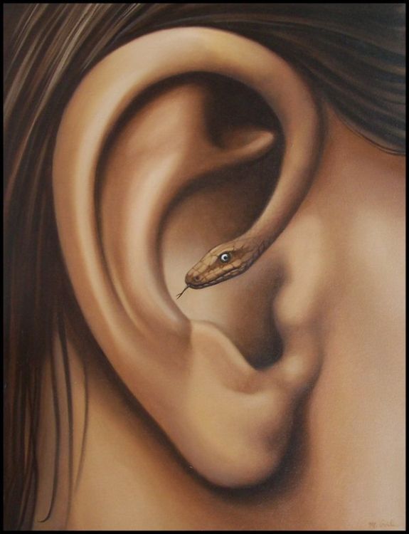 ������������� ������