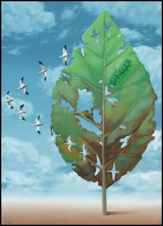 ������������� ������