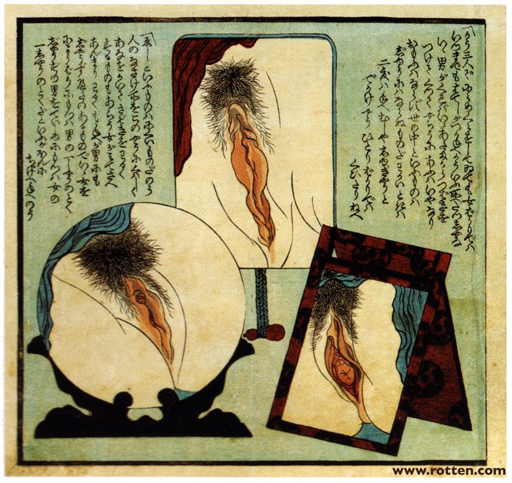 ����������