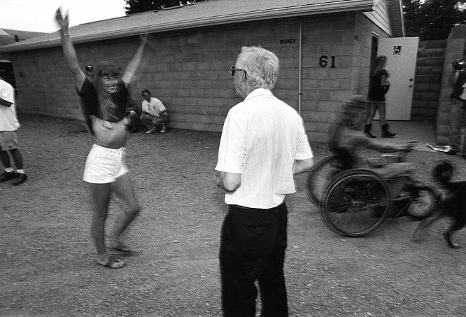 ������ ����