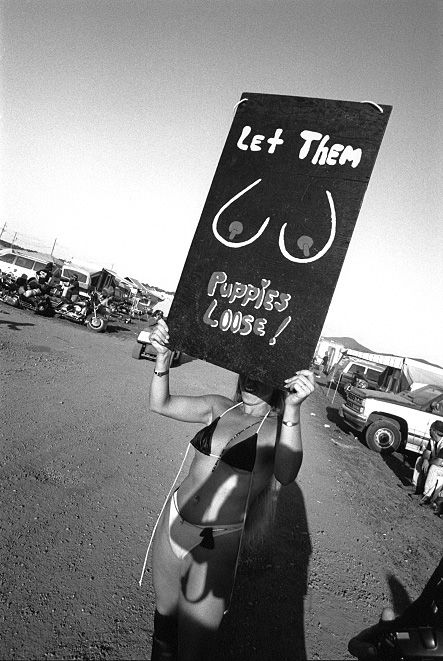 ������ ����