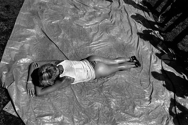 ������ ����