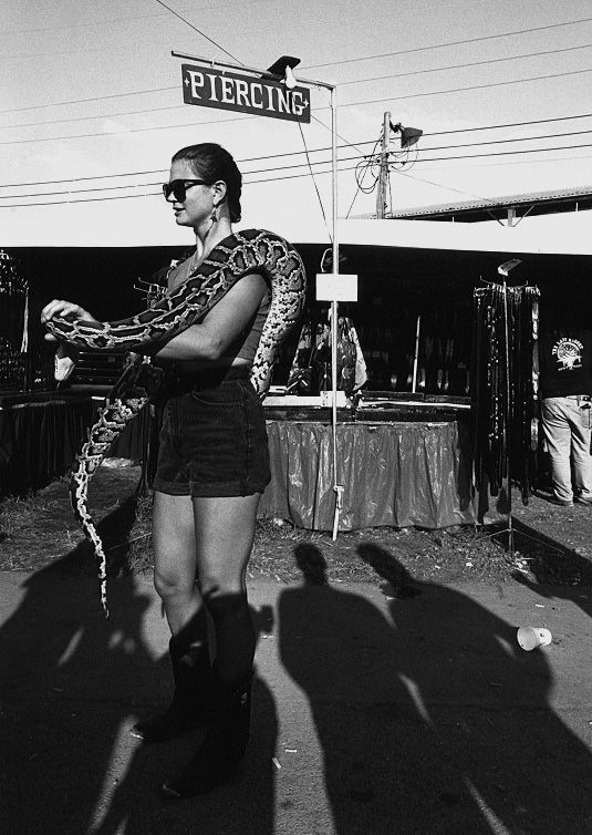 ������ ����