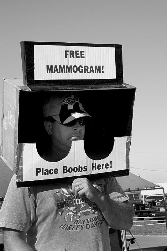 ������ ����