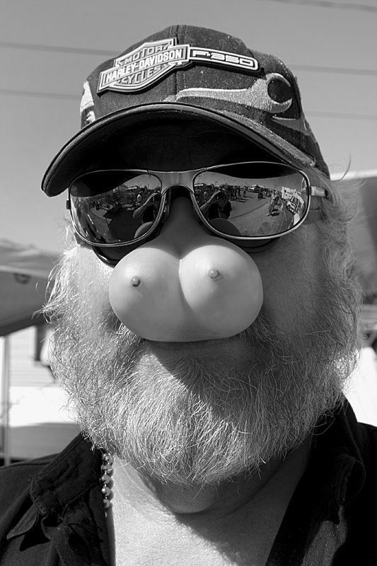 ������ ����