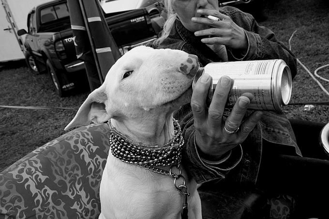 ������ ����