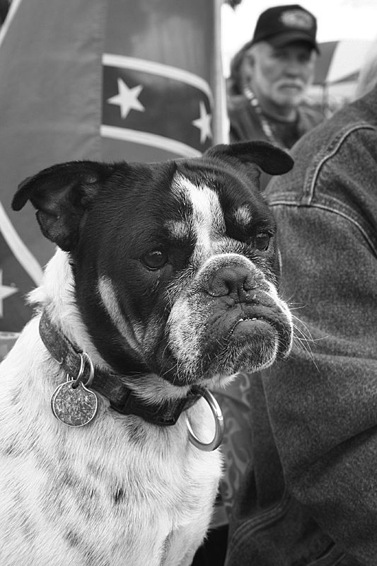 ������ ����