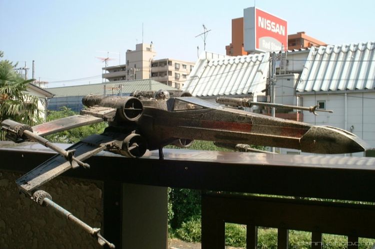 ������� �� �������� ����