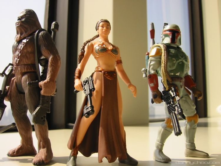 ������� �� �������� ����