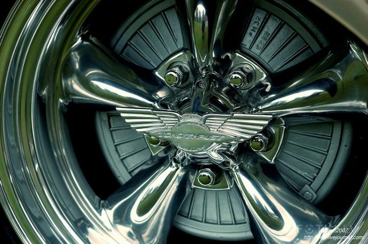 American Beauty 2007