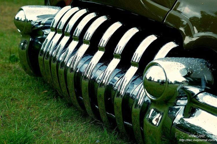 American Beauty 2007