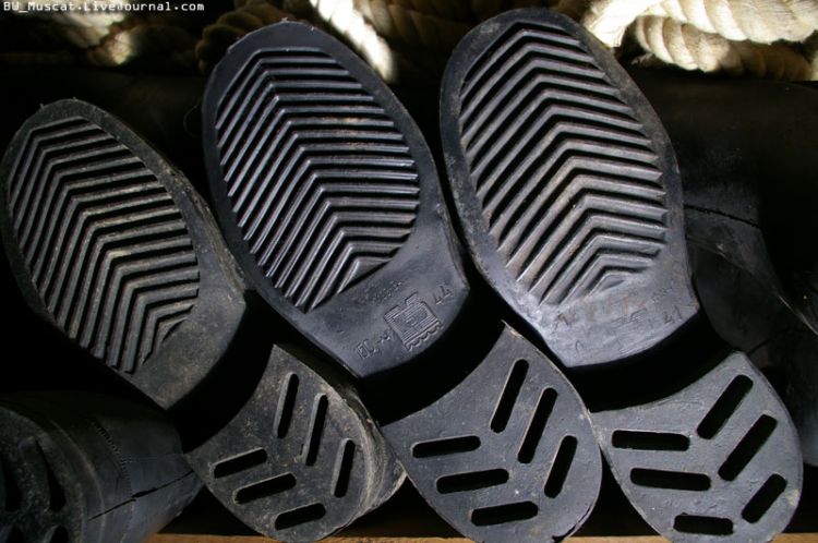 ������������