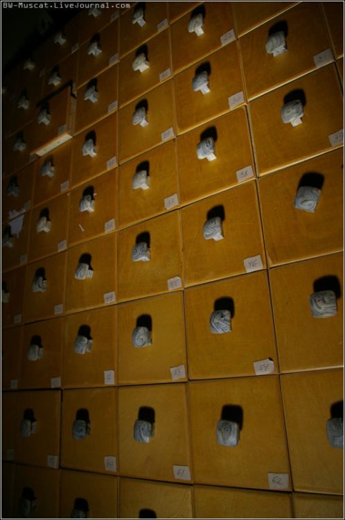 ������������