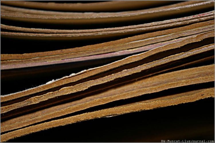 ������������