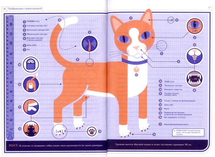 �����. ���������� �� ������������