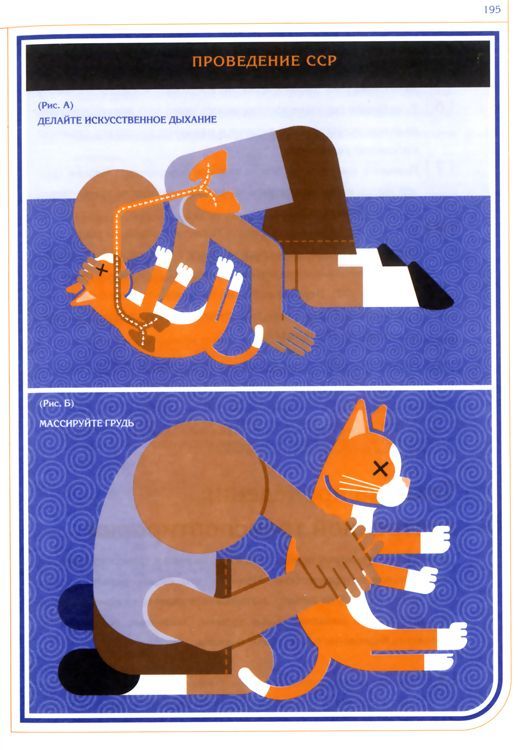 �����. ���������� �� ������������