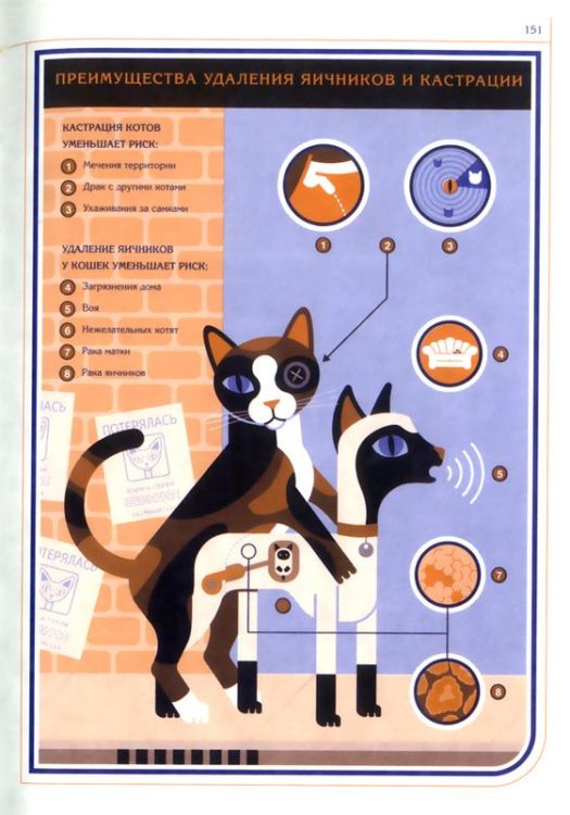 �����. ���������� �� ������������