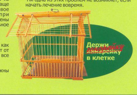 Креатив, передающийся половым путем