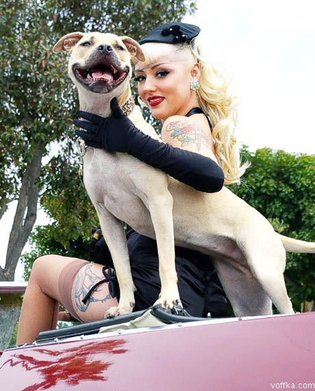 Дамы с собачками