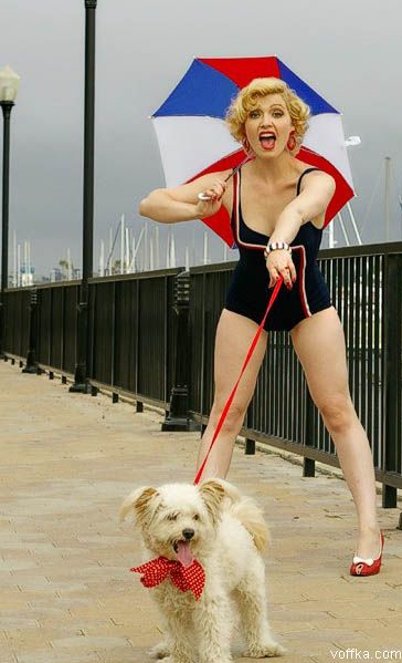 Дамы с собачками