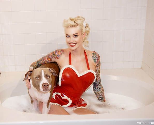 Дамы с собачками