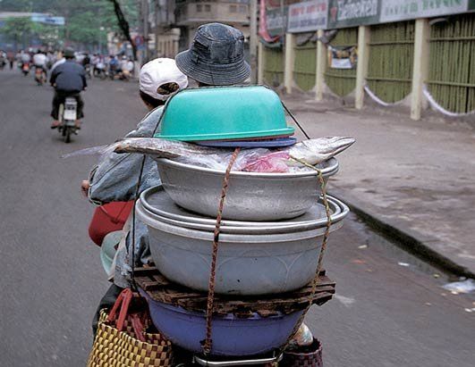 ���� �������