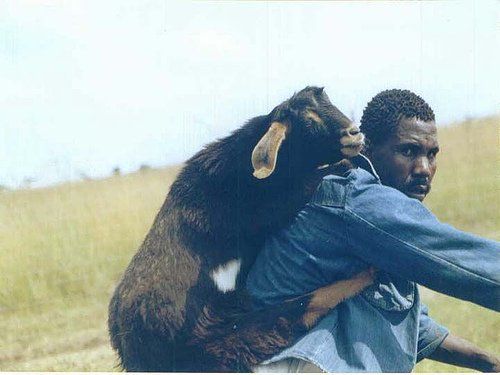 ���� �������