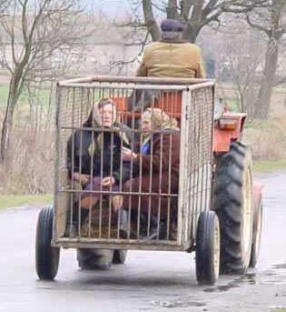 ���� �������