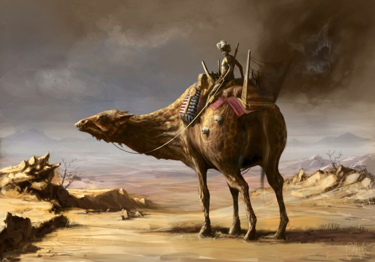 ��������