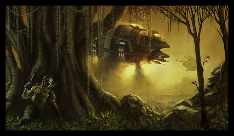 ��������