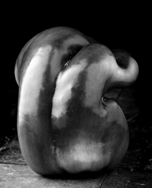 ������� � ����