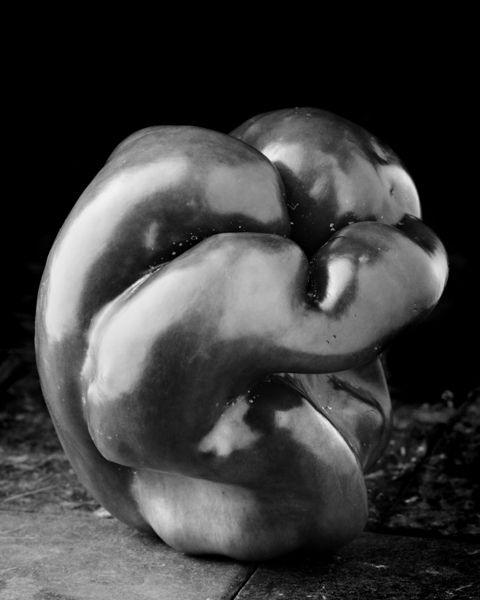 ������� � ����