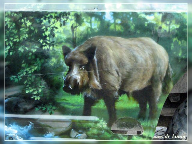 ��������� ���������� � ������