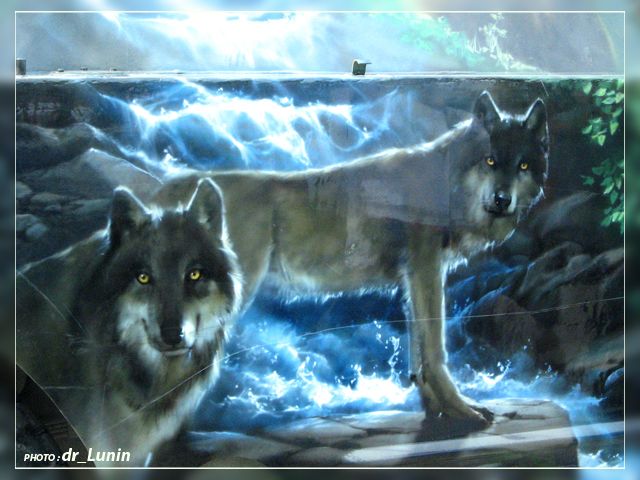 ��������� ���������� � ������