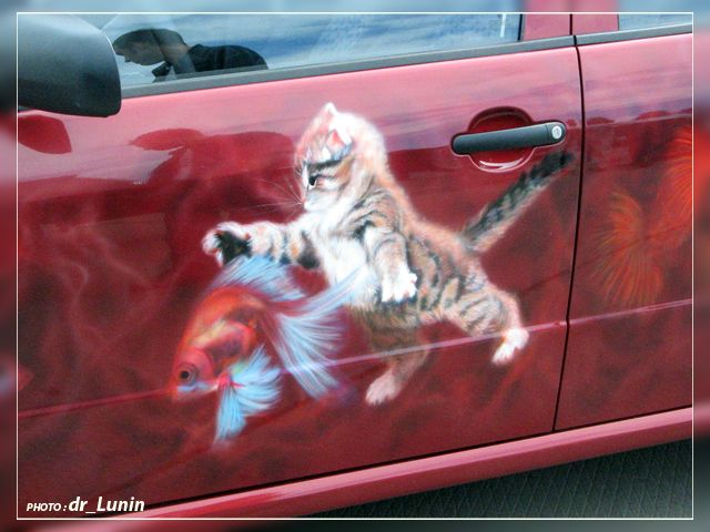 ��������� ���������� � ������