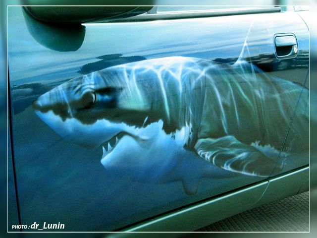 ��������� ���������� � ������