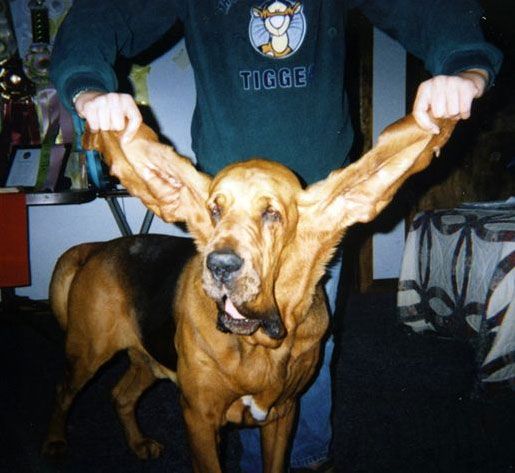 ����� �������� �������