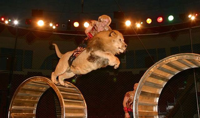 ����� �������� �������