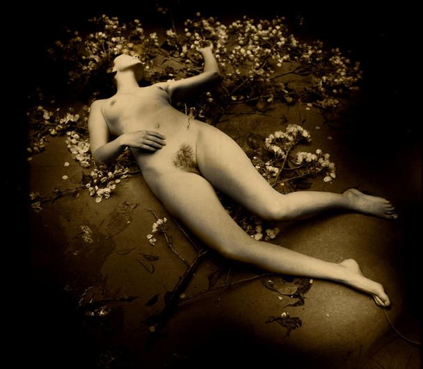 �������