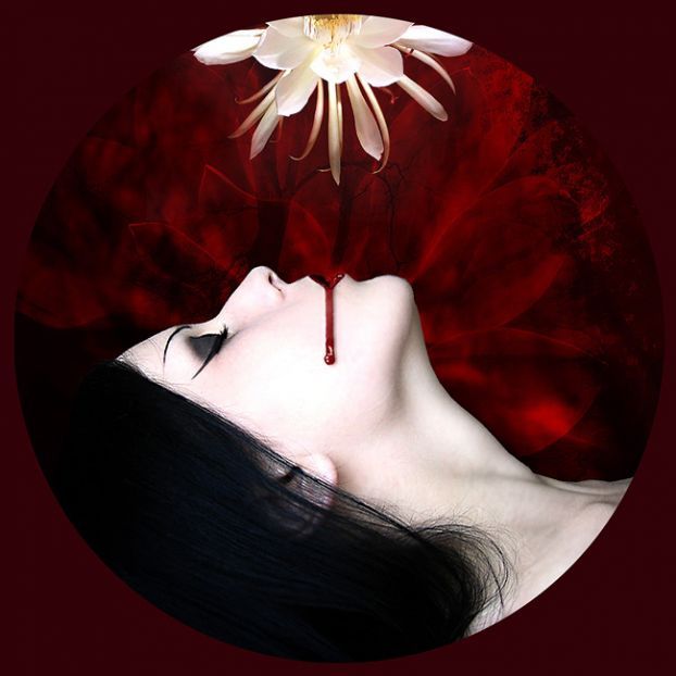 �������