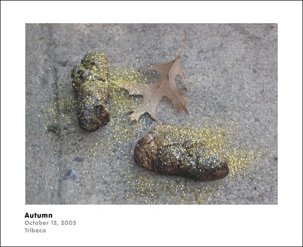 ���������������