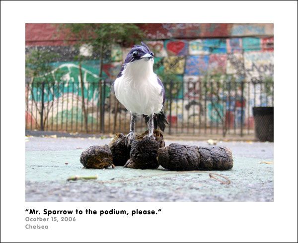 ���������������