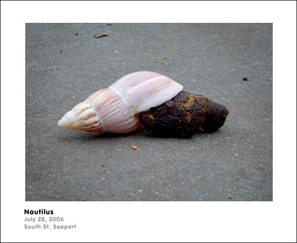 ���������������