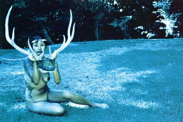 ���������� ��������