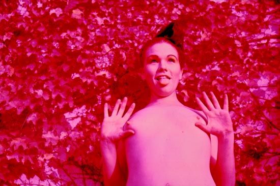 ���������� ��������