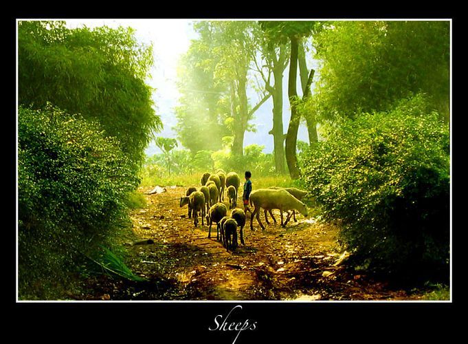 ���������