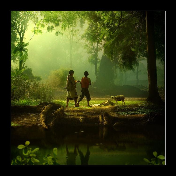 ���������