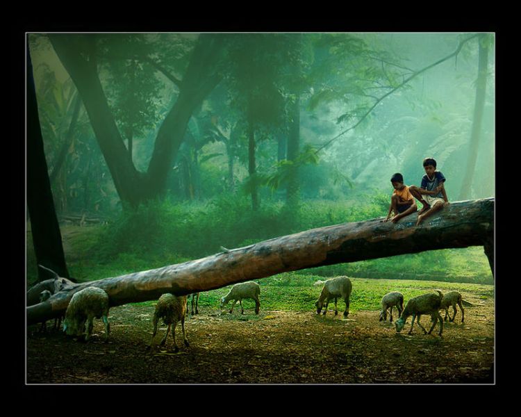 ���������