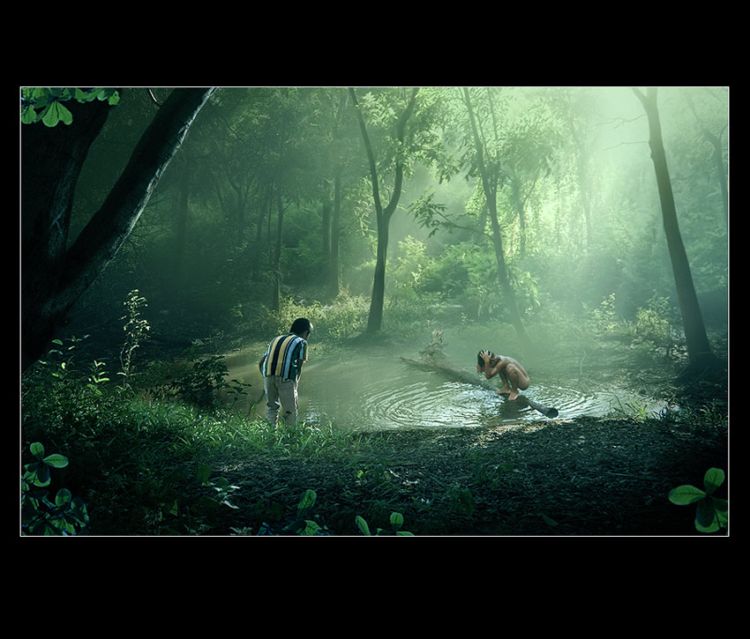 ���������