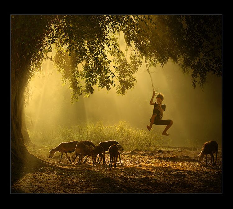 ���������